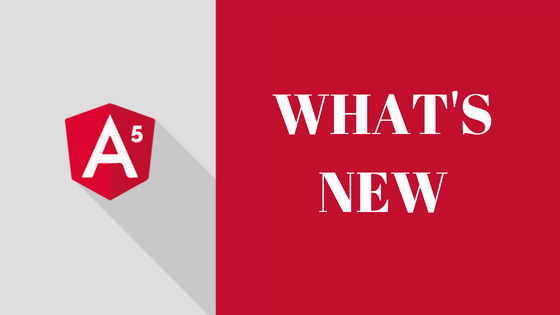 What's new- Angular 5